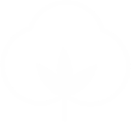 organic.png organic.png