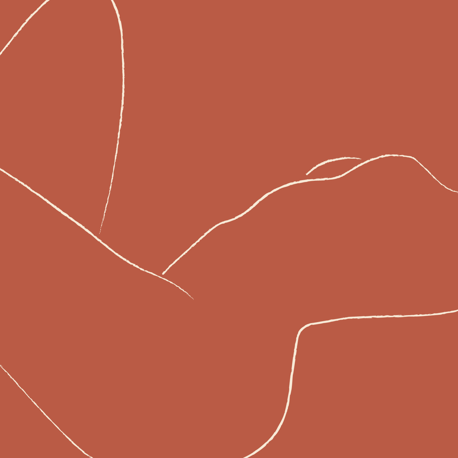 THE INS AND OUTS OF ORGASMS THE INS AND OUTS OF ORGASMS